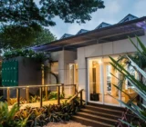 What is bioarchitecture and how has it developed in projections