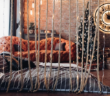 5 decorating tips with elements of industrial architecture