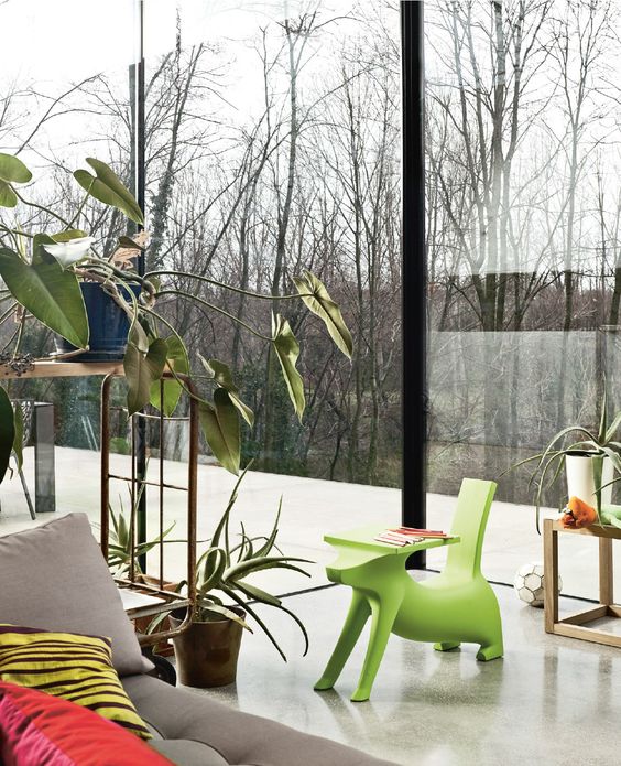 Cadeira The Wise Dog of Magis